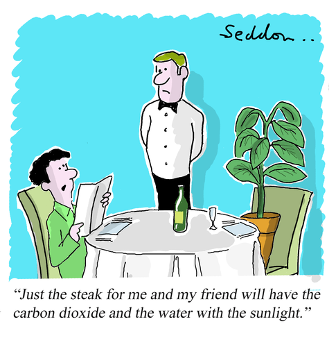 Funny Photosynthesis Cartoon
