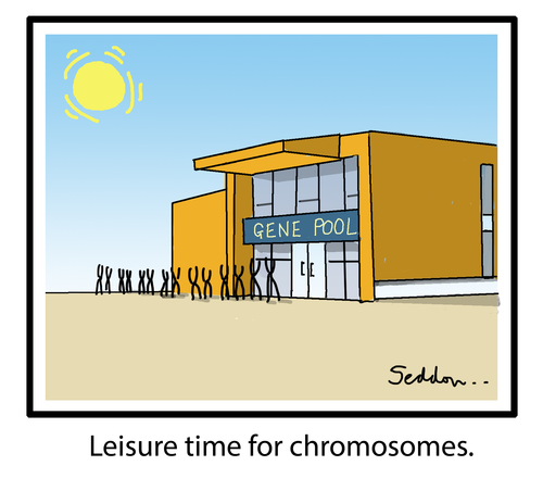 Gene Pool-Funny Chromosome Cartoon