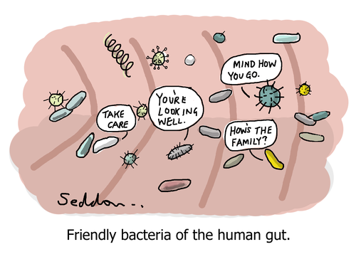 Friendly Bacteria Of The Gut-Funny Cartoon