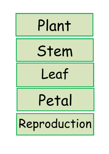 Display vocabulary plants topic