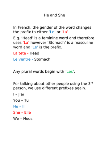 French Masculine and Feminine Information Sheet