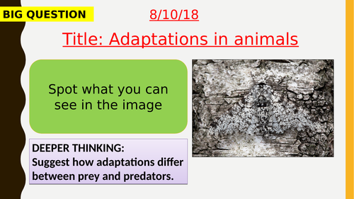 AQA new specification-Adaptation in animals-B16.7