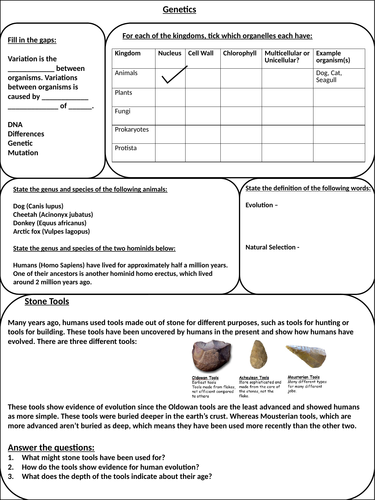 Evolution/Genetics Revision Activity Sheet | Teaching Resources