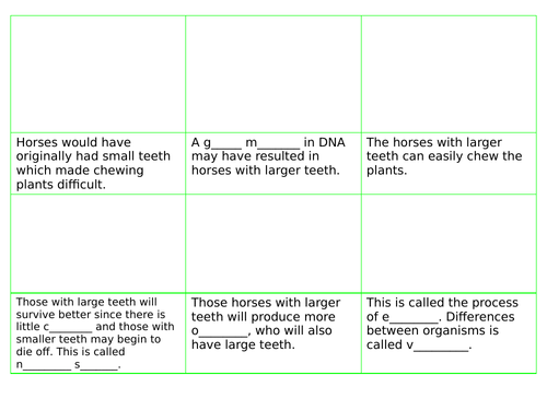 Evolution Storyboard and Word Fill
