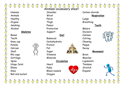 Animals vocabulary sheet