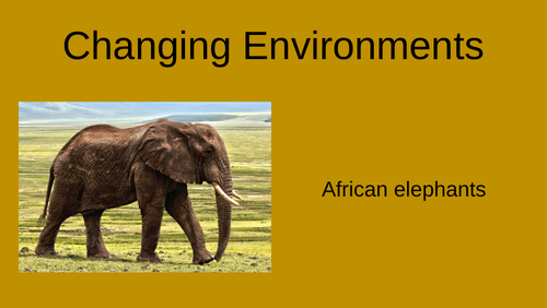changing environments and its effect on elephants in Africa