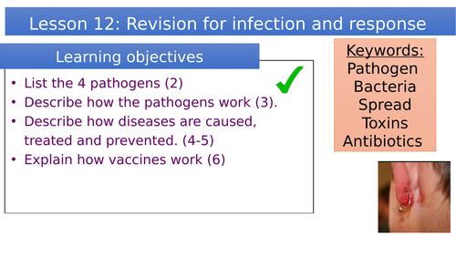 Revision for the topic infection and response