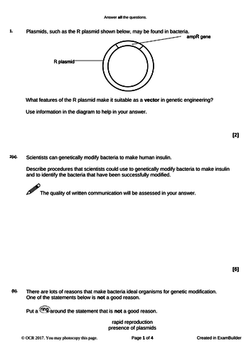 B1 You and Your Genes Exam Style Questions with Mark Scheme