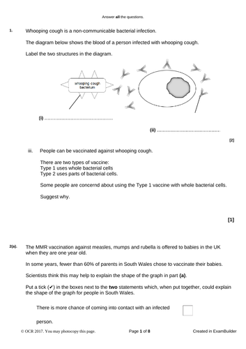 B2 Keeping Healthy Exam Style Questions