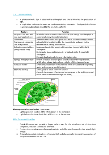 AQA A level Biology - Photosynthesis Notes