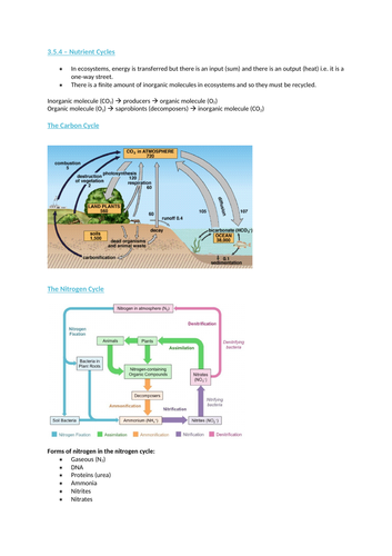 AQA A level Biology - Nutrient Cycles