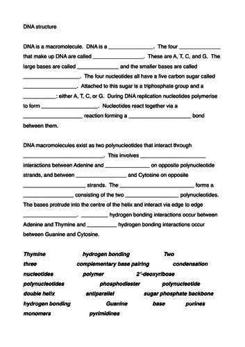 Dna Structure Gap Fill Teaching Resources