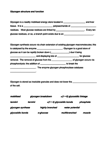 Glycogen structure and function gap fill