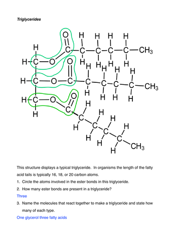 Triglycerides exercises