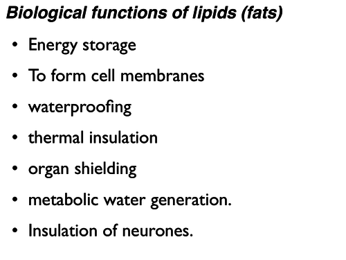 Fatty acids and triglyceride function