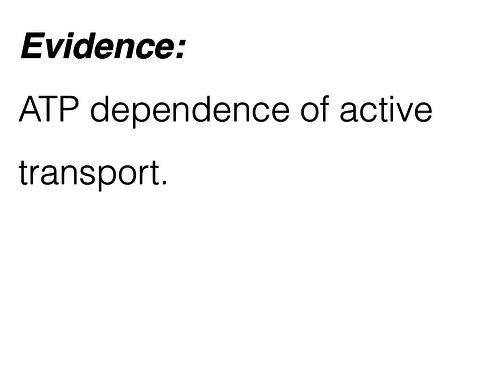 ATP dependence of active transport and respiratory inhibitors