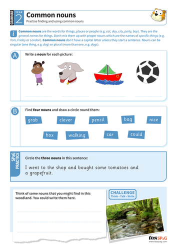 Finding and using common nouns worksheet - Year 2 Spag