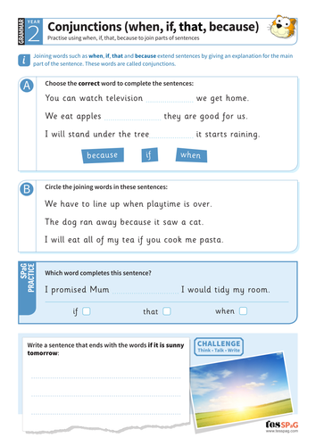 Using conjunctions 'when, if, that, because' worksheet - Year 2 Spag