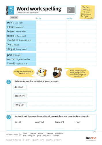 contraction and possession spelling worksheet year 2 spag teaching resources