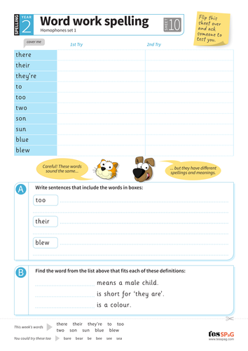 homophones spelling worksheet year 2 spag teaching
