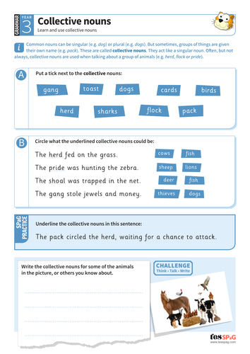 using-collective-nouns-worksheet-year-3-spag-teaching-resources