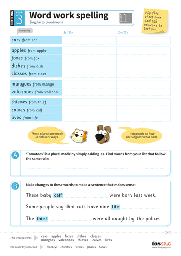 Singular To Plural Nouns Spelling Worksheet Year 3