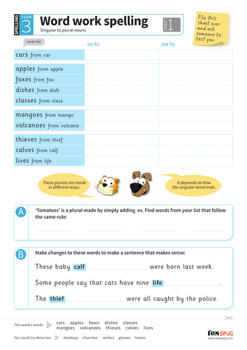 Singular to plural nouns - Spelling Worksheet - Year 3 Spag