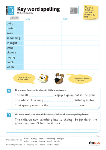 Key Words Spelling Worksheet 1 - Year 3 Spag
