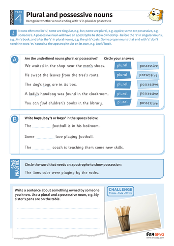 Plural and possessive nouns worksheet - Year 4 Spag