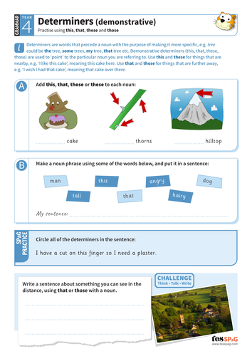 Determiners year 6 picture