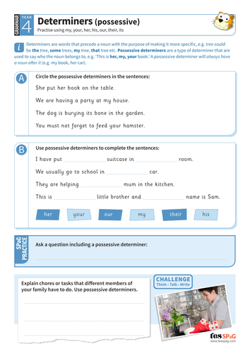 Determiners (possessive) worksheet Year 4 Spag Teaching Resources