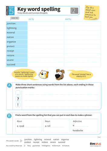 Tricky Words Spelling Worksheet 2 - Year 5/6 Spag