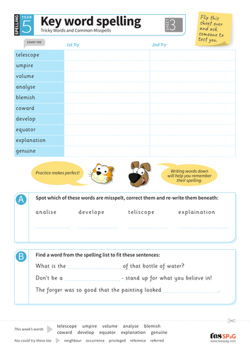 Tricky Words Spelling Worksheet 3 - Year 5/6 Spag
