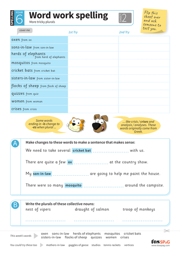 More Tricky Plurals  - Spelling Worksheet - Year 6 Spag