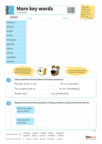 tricky words spelling worksheet 5 year 6 spag teaching