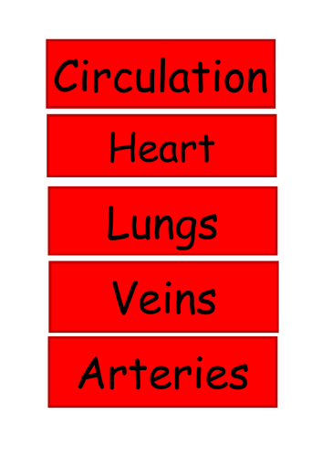 Circulation display vocabulary