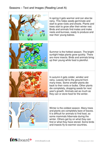 Seasons Explanation Book - Reading Level A - KS1 Literacy