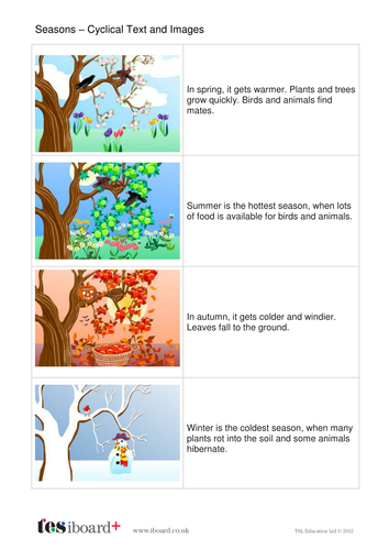 Seasons Explanation Book - Early Reader Level - KS1 Literacy