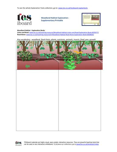 Woodland Food Cycle Storyboard Worksheet - KS1 Literacy