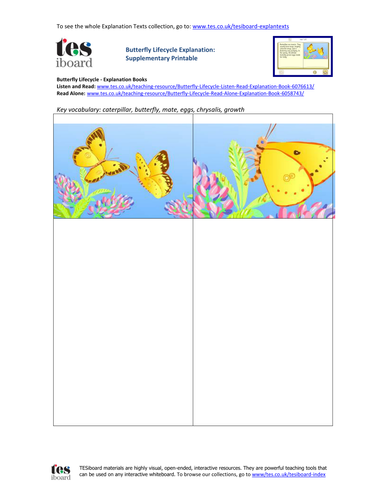 Butterfly Lifecycle Storyboard Worksheet - KS2 Literacy
