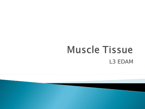 Muscles and the sliding filament theory