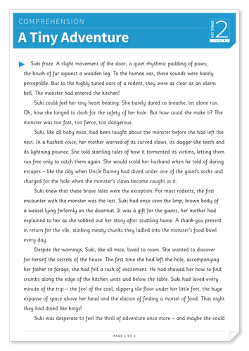 A Tiny Adventure - Text and Questions Exercise - Year 4 Reading Comprehension (Fiction)