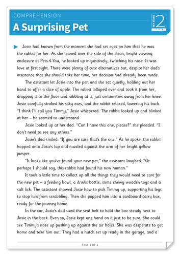 a surprising pet text and questions exercise year 4 reading