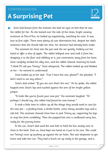 A Surprising Pet - Text and Questions Exercise  - Year 4 Reading Comprehension (Fiction)