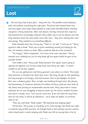 Lost - Text and Questions Exercise - Year 5 Reading Comprehension (Fiction)