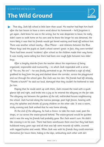 Wild Ground - Text and Questions Exercise - Year 6 Reading Comprehension (Fiction)