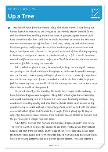 Up a Tree - Text and Questions Exercise - Year 6 Reading Comprehension (Fiction)