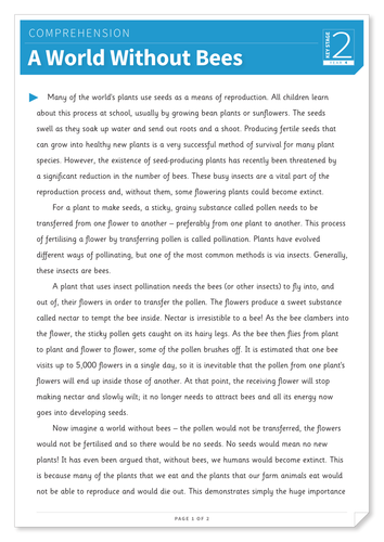 A World Without Bees - Text and Questions Exercise - Year 4 Reading Comprehension (Non-fiction)