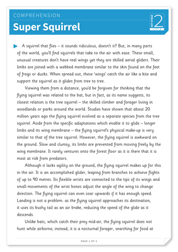 Super Squirrel - Text and Questions Exercise - Year 5 Reading Comprehension (Non-fiction)