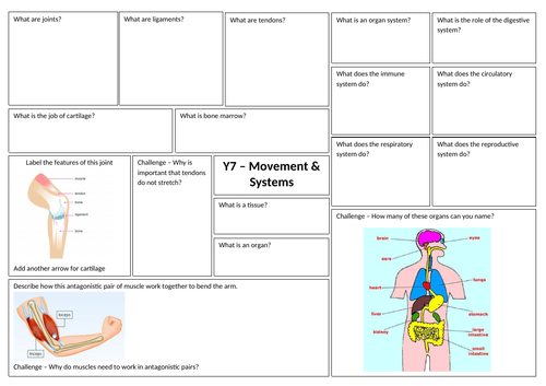 Y7 Organisms (movement & systems) Revision pack 2020 - Based on AQA KS3 SOW